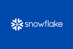 KSTEPS Series-15 Snowflake