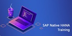 Native HANA Training